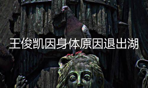 原因了退出湖南王俊 王怎么俊凯身体身体凯因跨年